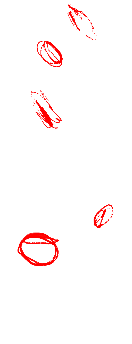 Decorative coffee beans