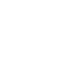 Decorative white star