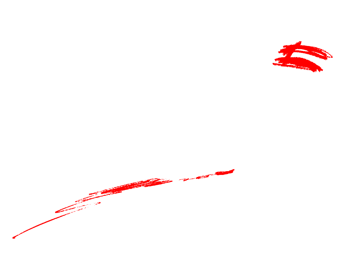 Decorative signature